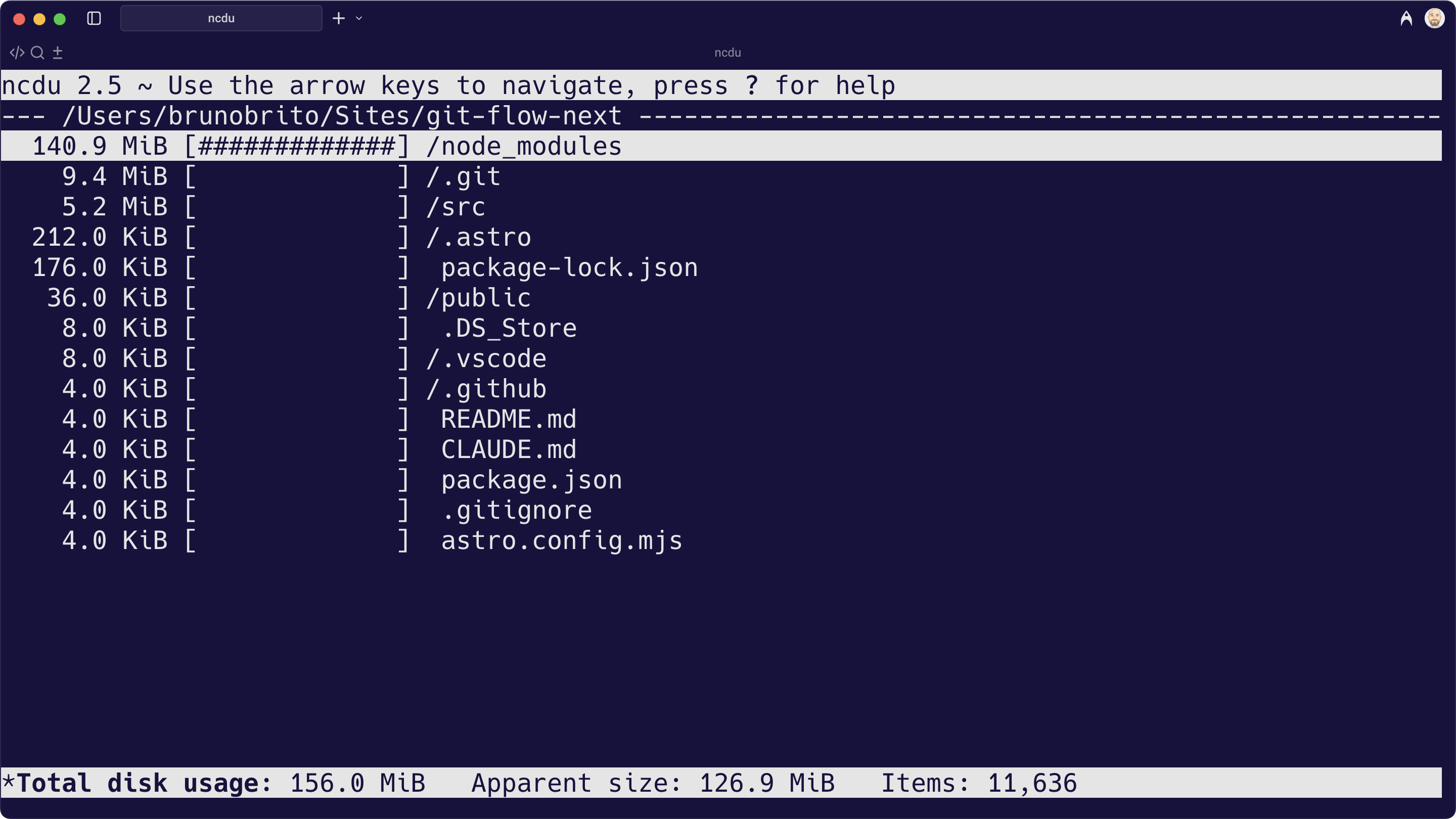 Ncdu: Your Disk Usage Detective