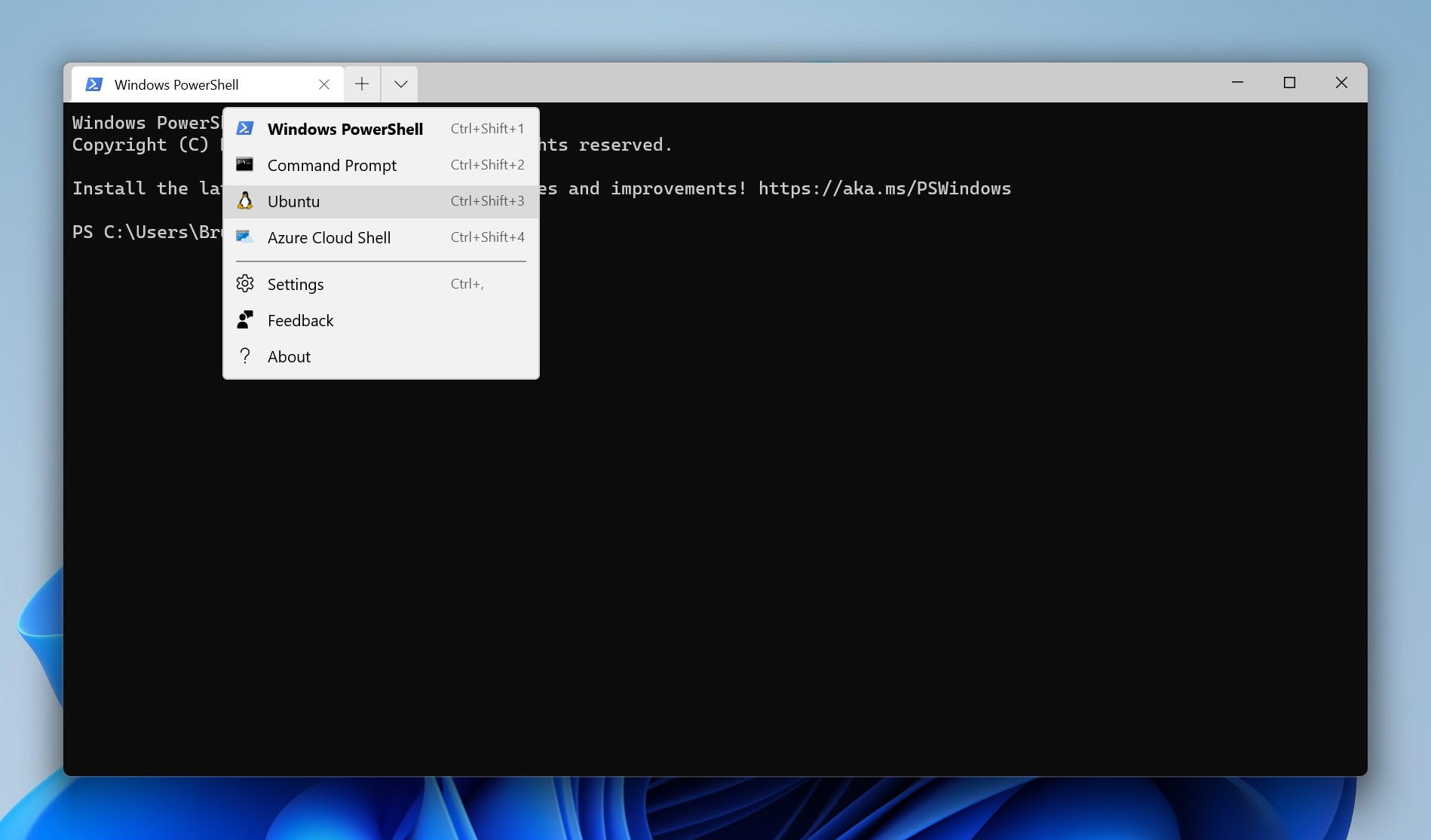 Windows Terminal installed