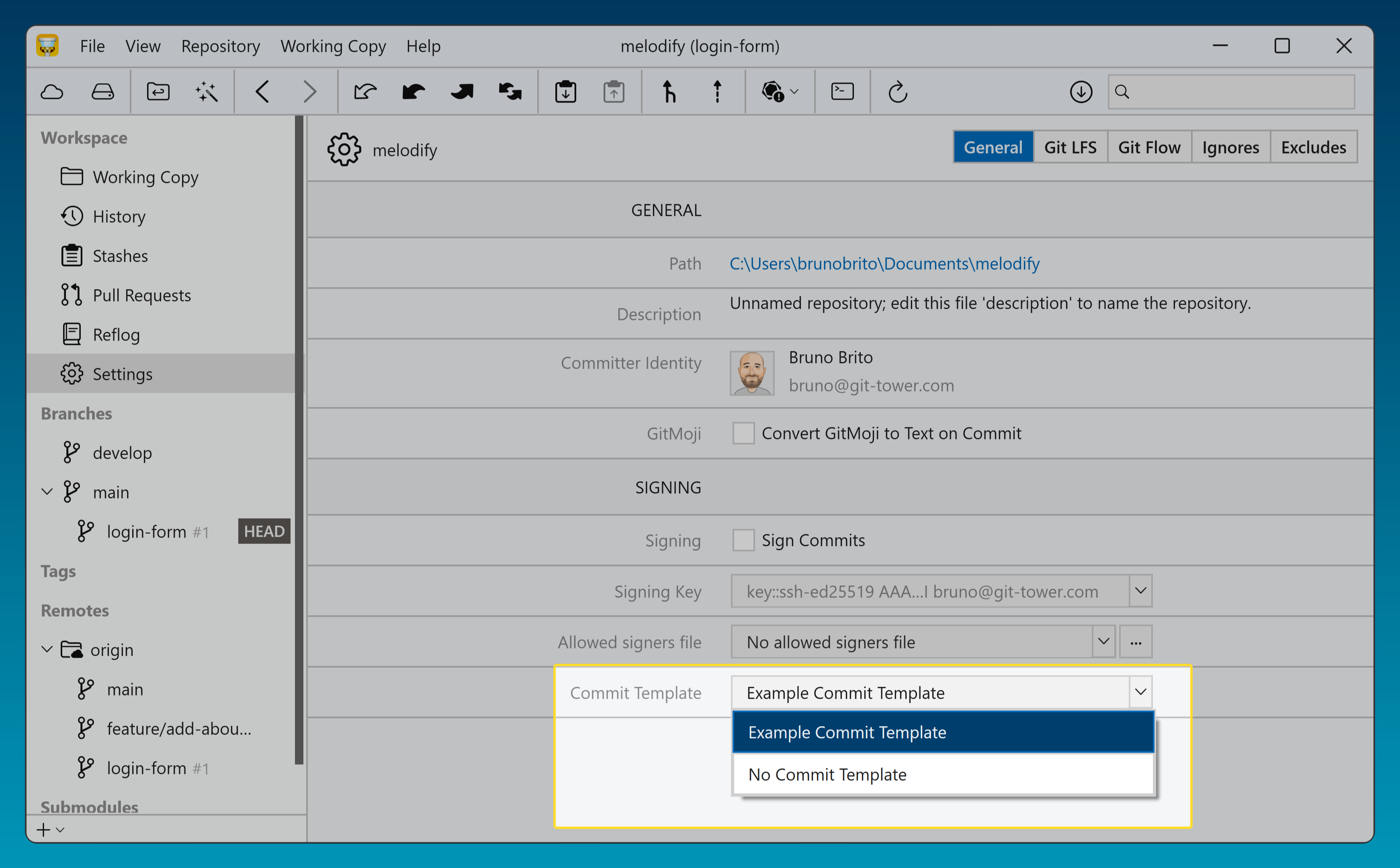 Tower 11 for Windows – Repository Settings