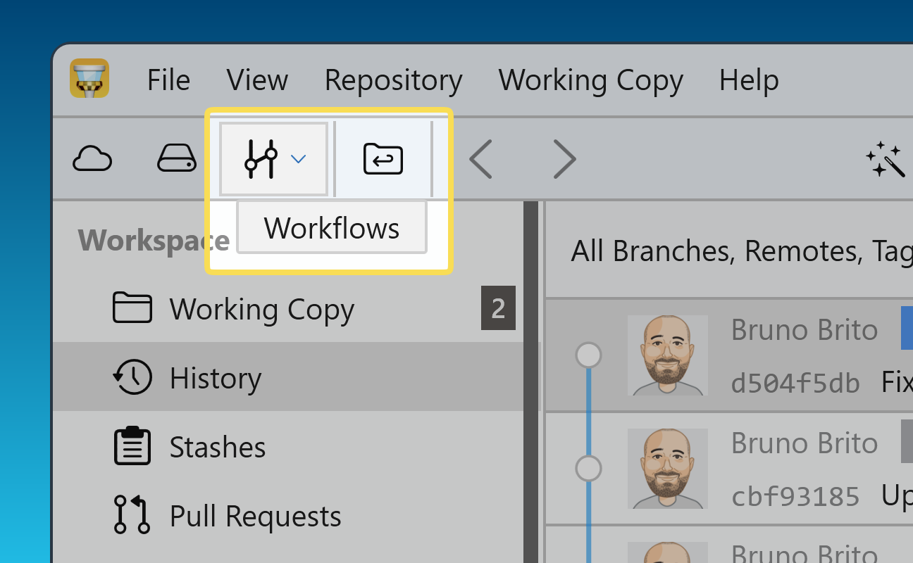 Tower 12 for Windows – "Workflows" icon in the Toolbar