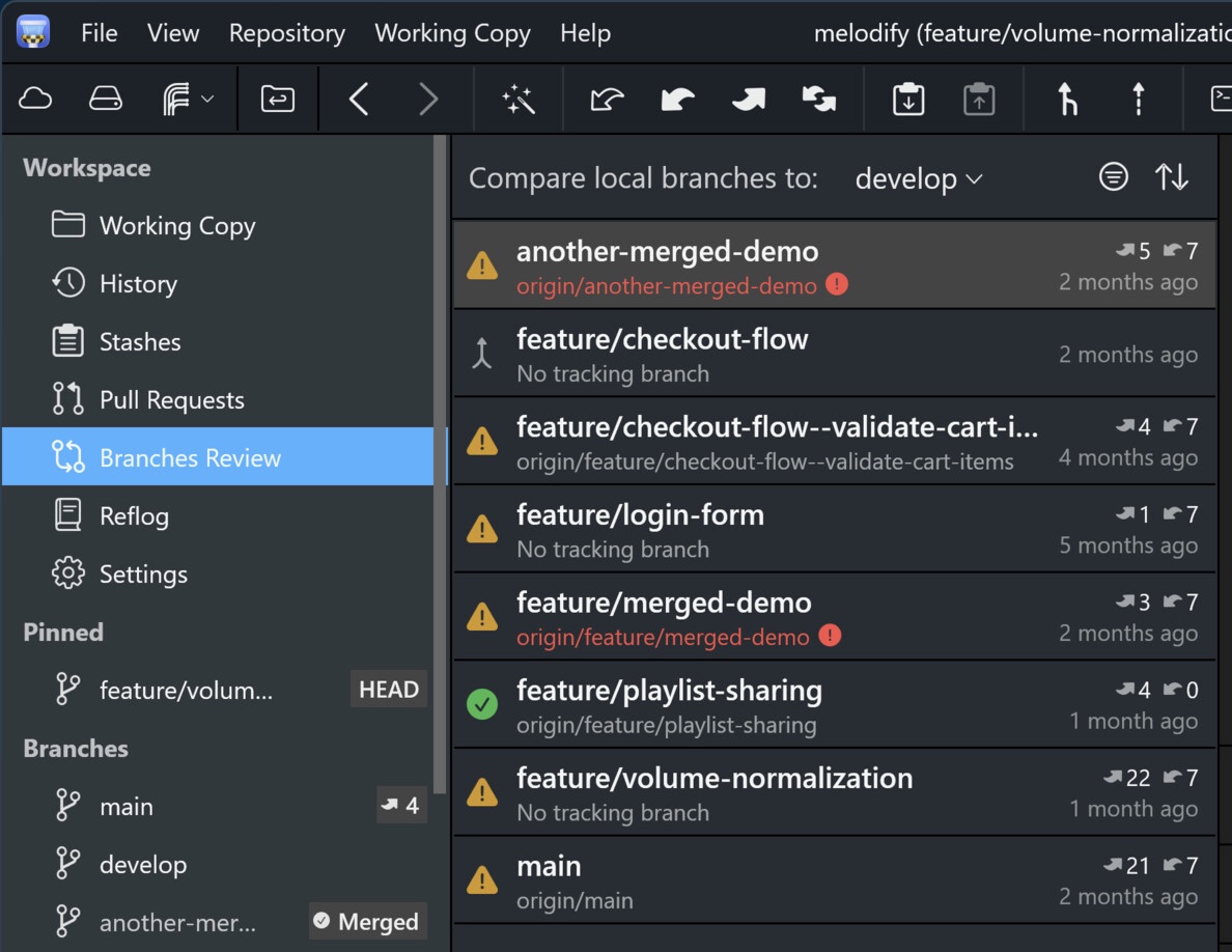 Tower 14 for Windows – The new "Branches Review" view