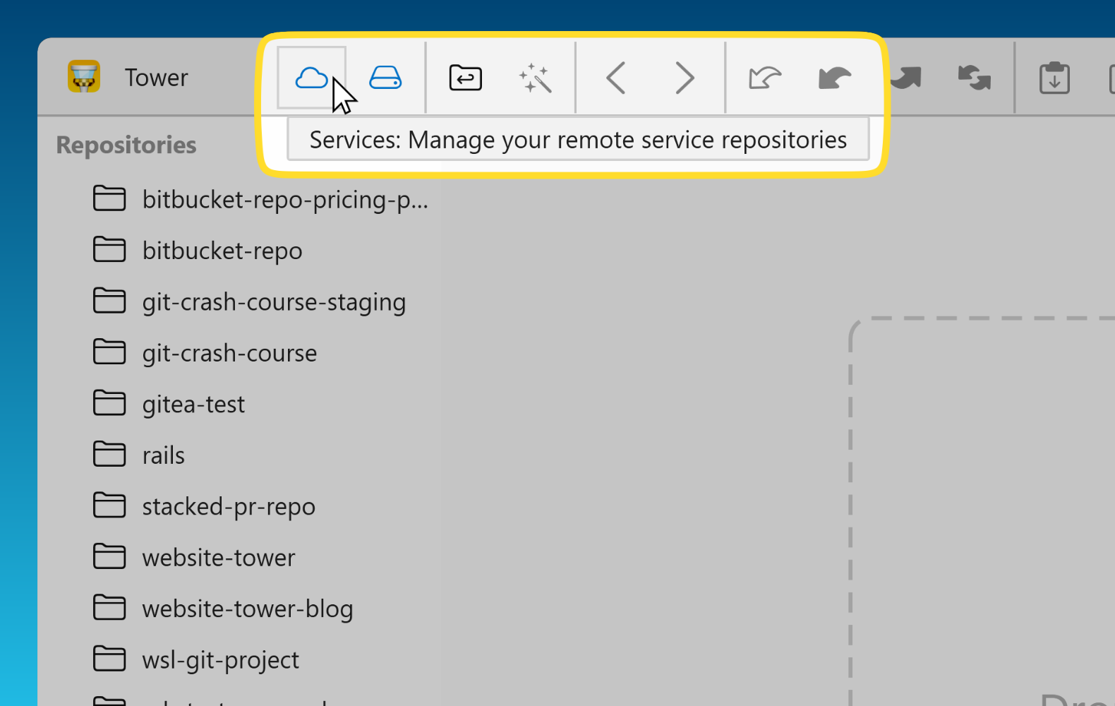Tower 9.1 for Windows — "Services" in the Toolbar