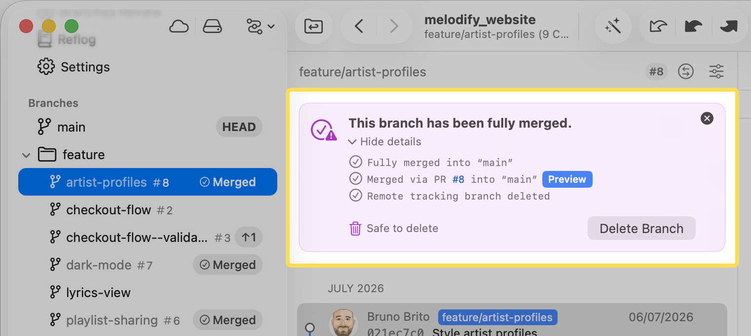 The "Fully Merged" hint view showing which checks matched