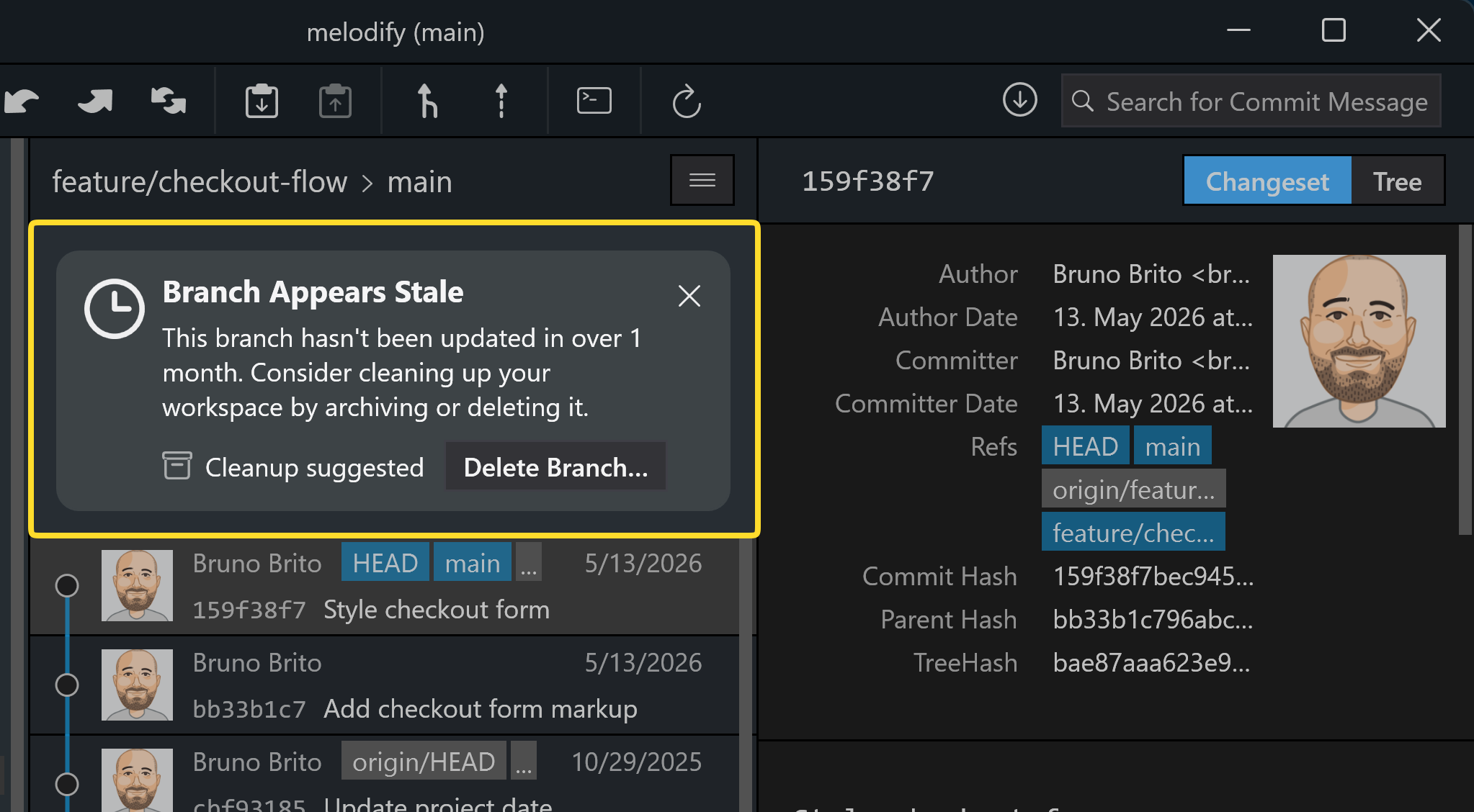 Hint view for a stale branch with a one-click option to delete it