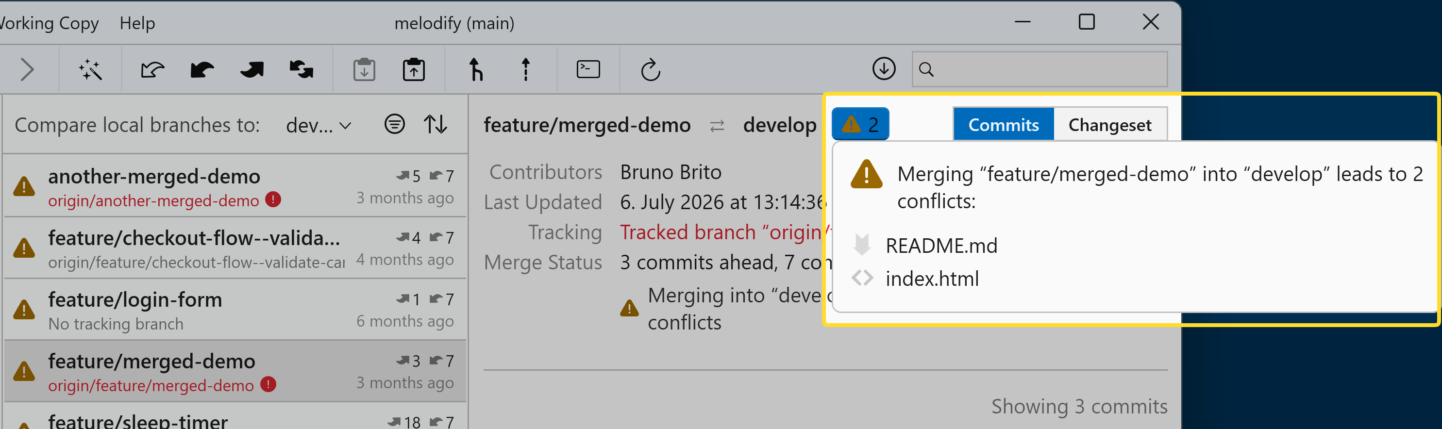 A branch with merge conflicts selected in Branches Review, with a popover listing the conflicted files