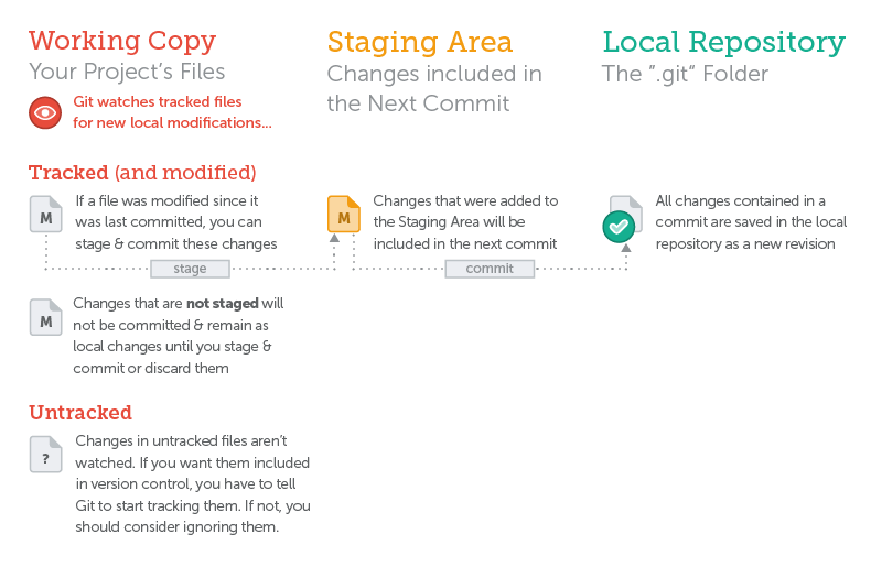A file can have multiple status in version control A file can have multiple status in version control
